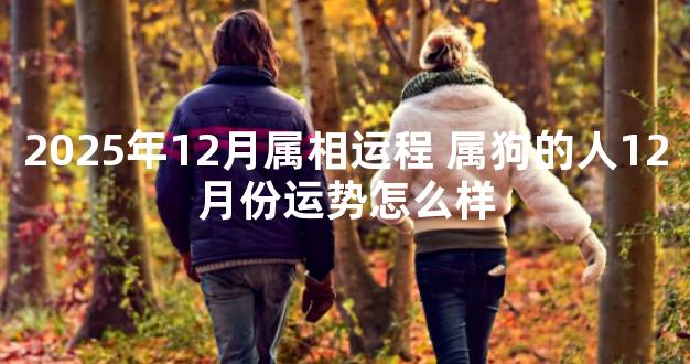 2025年12月属相运程 属狗的人12月份运势怎么样